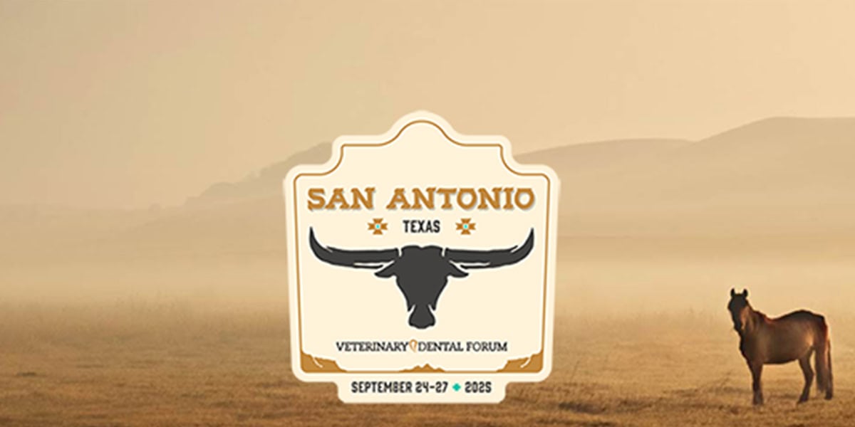 2025 Veterinary Dental Forum