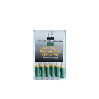 Dental Picks #70 - 25 mm