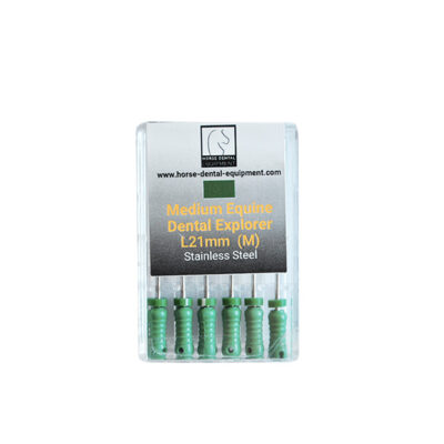 Dental Medium Explorers - 21 mm