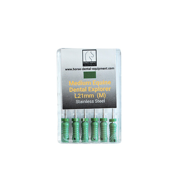 Dental Medium Explorers - 21 mm