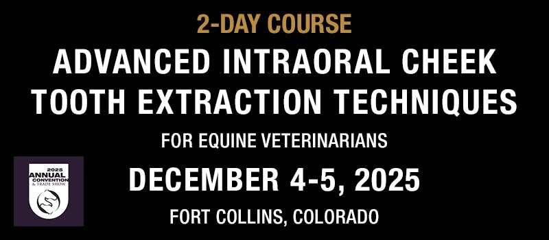 2-Day Course - Advanced Intraoral Cheek Tooth Extraction Techniques