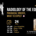 [HDE Vet Webinar] Radiology of the Equine Paranasal Sinuses, What to Expect - Dr. Gabriel Manso Díaz