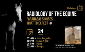 [HDE Vet Webinar] Radiology of the Equine Paranasal Sinuses, What to Expect - Dr. Gabriel Manso Díaz