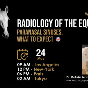 [HDE Vet Webinar] Radiology of the Equine Paranasal Sinuses, What to Expect - Dr. Gabriel Manso Díaz