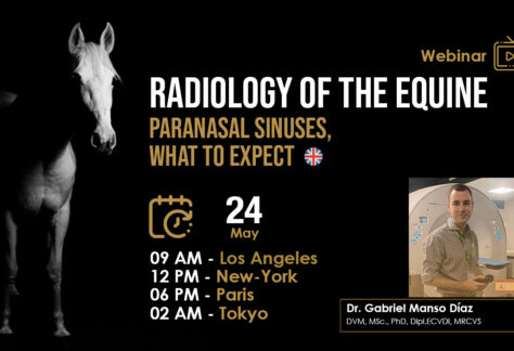 [HDE Vet Webinar] Radiology of the Equine Paranasal Sinuses, What to Expect - Dr. Gabriel Manso Díaz