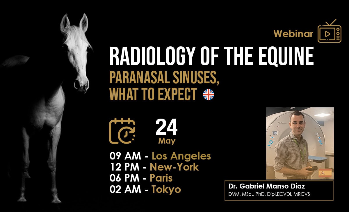 [HDE Vet Webinar] Radiology of the Equine Paranasal Sinuses, What to Expect - Dr. Gabriel Manso Díaz