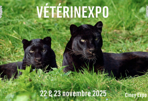 Veterinexpo 2025