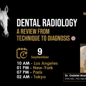 [HDE Vet Webinar] Dental Radiology, a Review from Technique to Diagnosis - Dr. Gabriel Manso Diaz