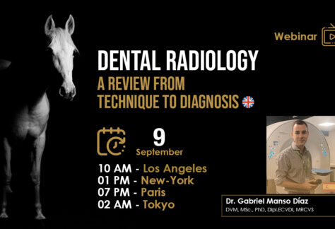 [HDE Vet Webinar] Dental Radiology, a Review from Technique to Diagnosis - Dr. Gabriel Manso Diaz