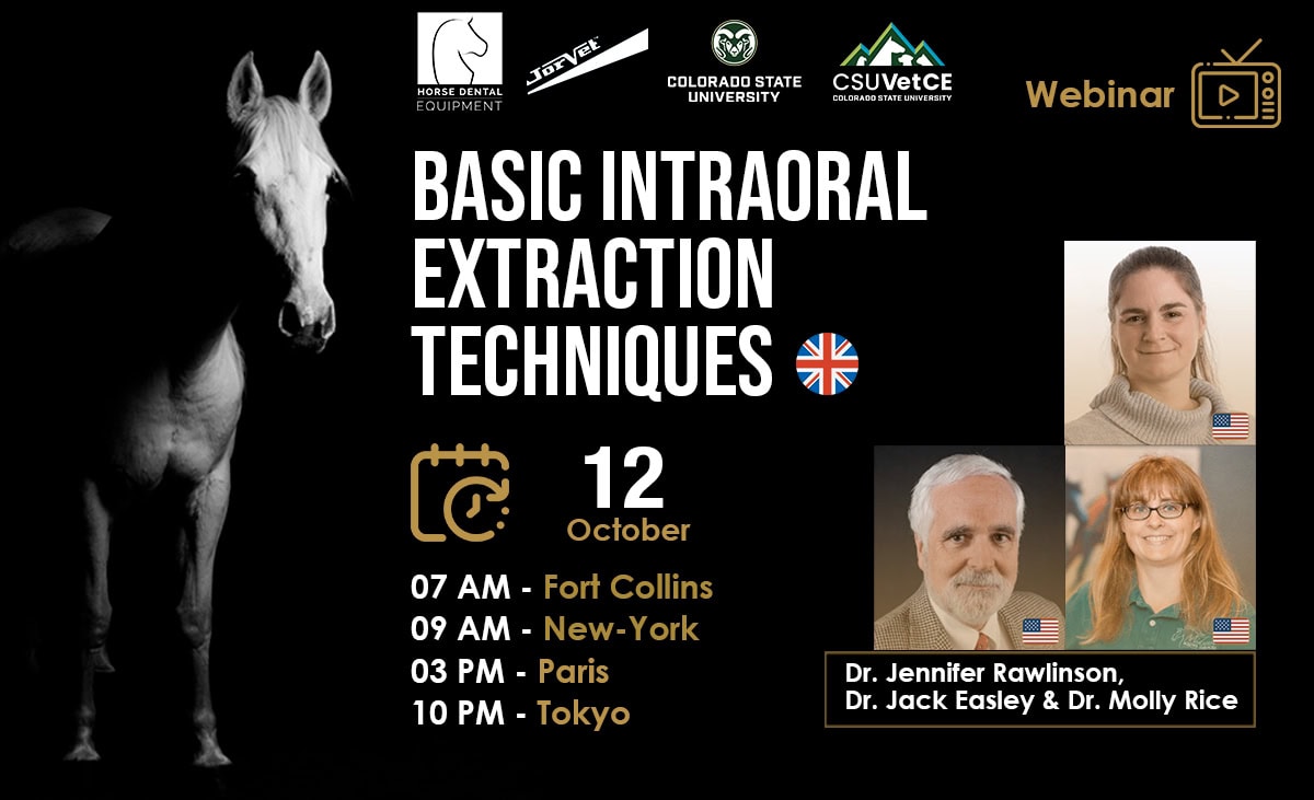 [HDE Webinar] Basic Intraoral Extraction Techniques - Dr. Jennifer Rawlinson, Dr. Jack Easley & Dr. Molly Rice