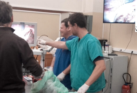 Cours VetAgro 2025 - Module Avancé