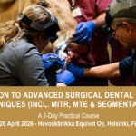 VetPD Course - Introduction to Advanced Surgical Dental Extraction Techniques (incl. MITR, MTE & Segmentation) - 25 & 26 April 2026 - Finland