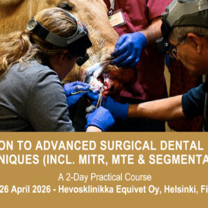 VetPD Course - Introduction to Advanced Surgical Dental Extraction Techniques (incl. MITR, MTE & Segmentation) - 25 & 26 April 2026 - Finland