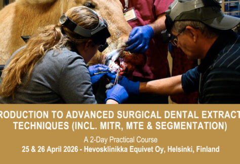 VetPD Course - Introduction to Advanced Surgical Dental Extraction Techniques (incl. MITR, MTE & Segmentation) - 25 & 26 April 2026 - Finland