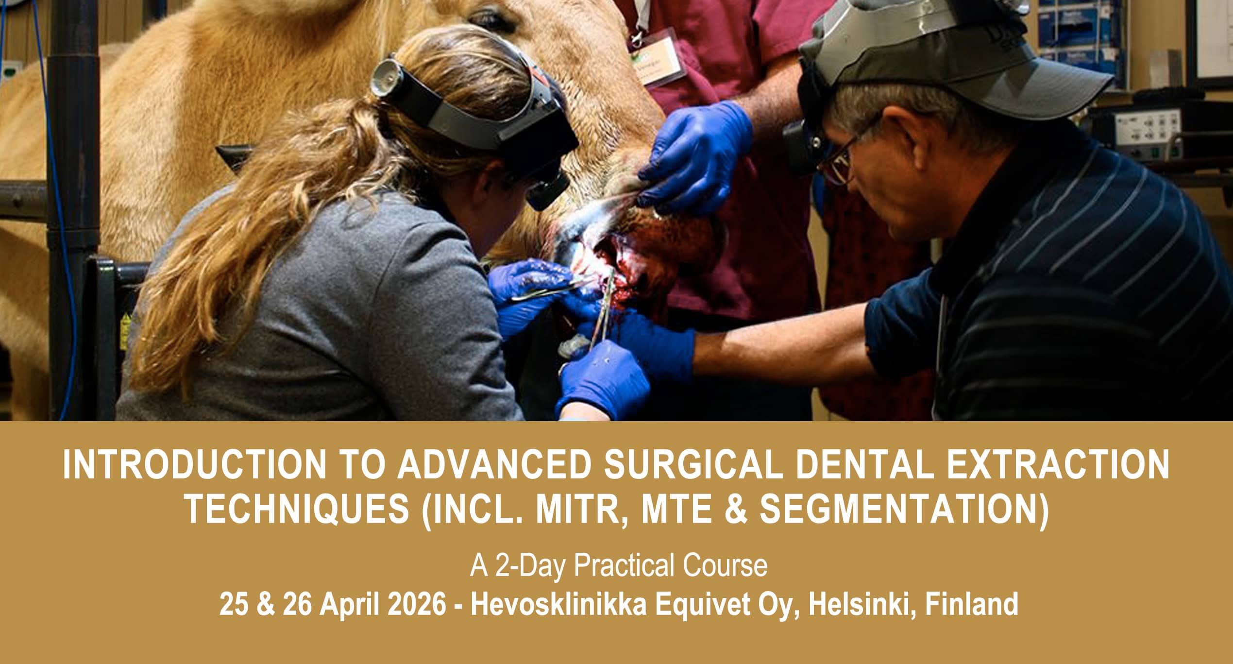 VetPD Course - Introduction to Advanced Surgical Dental Extraction Techniques (incl. MITR, MTE & Segmentation) - 25 & 26 April 2026 - Finland
