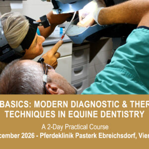 VetPD Course - Beyond Basics: Modern Diagnostic & Therapeutic Techniques in Equine Dentistry - 11 & 12 December 2026 - Austria