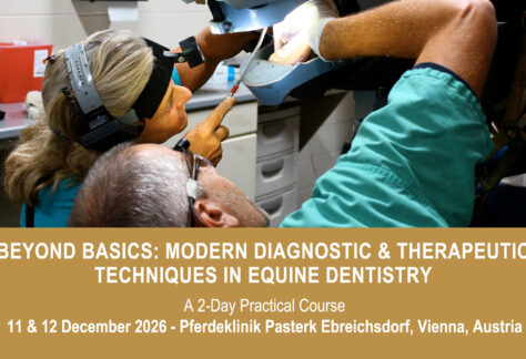 VetPD Course - Beyond Basics: Modern Diagnostic & Therapeutic Techniques in Equine Dentistry - 11 & 12 December 2026 - Austria