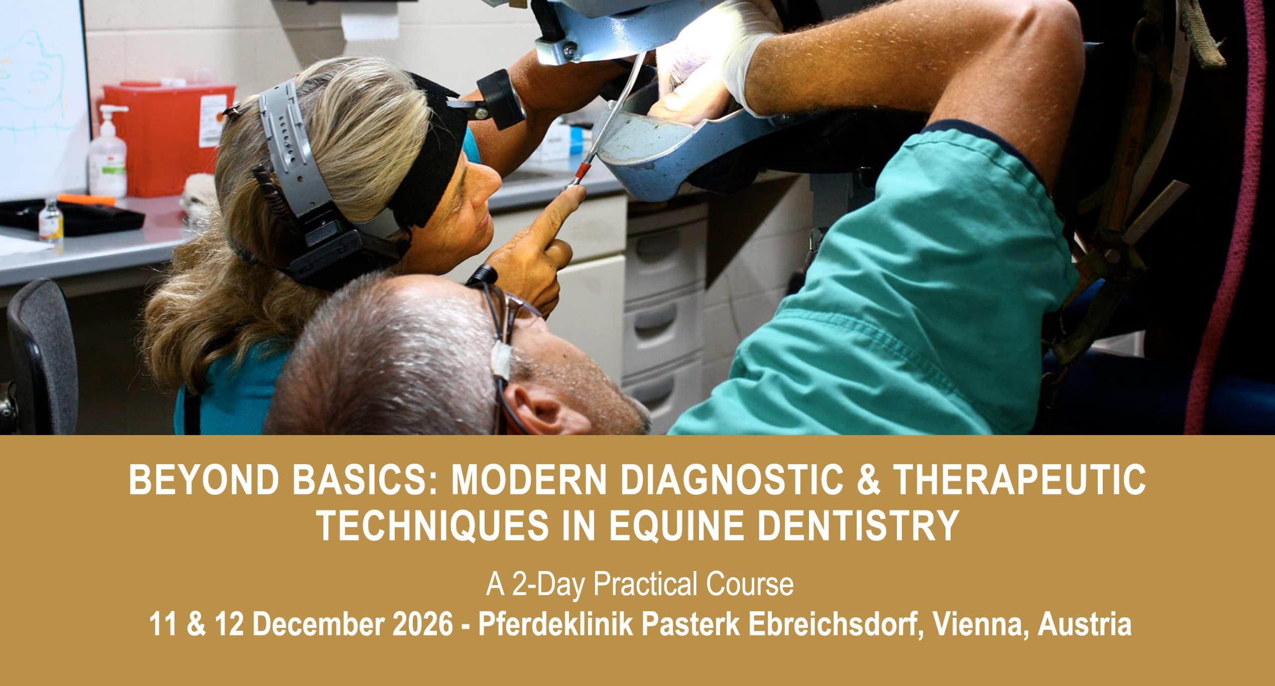 VetPD Course - Beyond Basics: Modern Diagnostic & Therapeutic Techniques in Equine Dentistry - 11 & 12 December 2026 - Austria