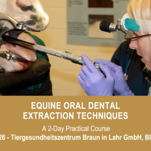 VetPD Course - Equine Oral Dental Extraction Techniques - 27 & 28 February 2026 - Germany