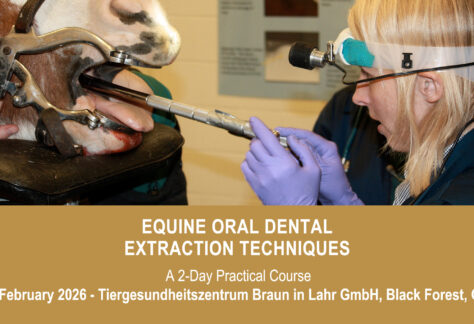 VetPD Course - Equine Oral Dental Extraction Techniques - 27 & 28 February 2026 - Germany