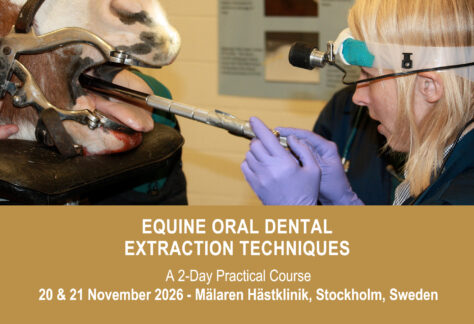VetPD Course - Equine Oral Dental Extraction Techniques - 20 & 21 November 2026 - Sweden