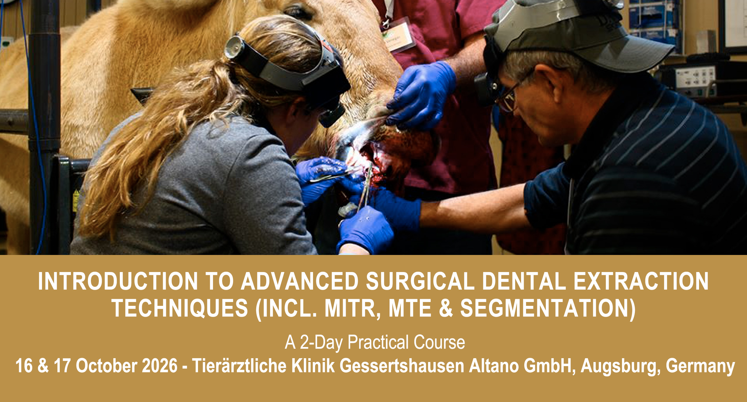 VetPD Course - Introduction to Advanced Surgical Dental Extraction Techniques (incl. MITR, MTE & Segmentation) - 16 & 17 October 2026 - Germany