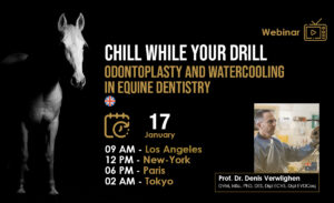 [HDE Webinar] Chill while you Drill - Odontoplasty and Watercooling in Equine Dentistry - Dr. Denis Verwilghen