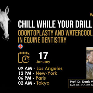 [HDE Webinar] Chill while you Drill - Odontoplasty and Watercooling in Equine Dentistry - Dr. Denis Verwilghen
