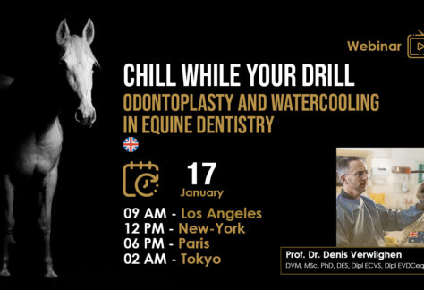 [HDE Webinar] Chill while you Drill - Odontoplasty and Watercooling in Equine Dentistry - Dr. Denis Verwilghen