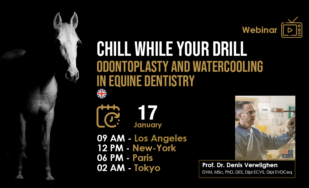 [HDE Webinar] Chill while you Drill - Odontoplasty and Watercooling in Equine Dentistry - Dr. Denis Verwilghen