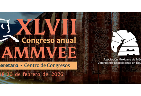 XLVII Congreso Anual AMMVEE