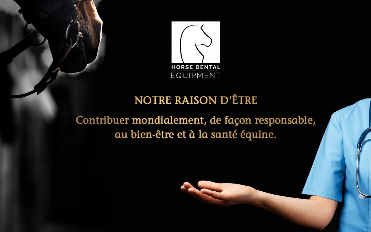 20260121 Raison d'être - EN