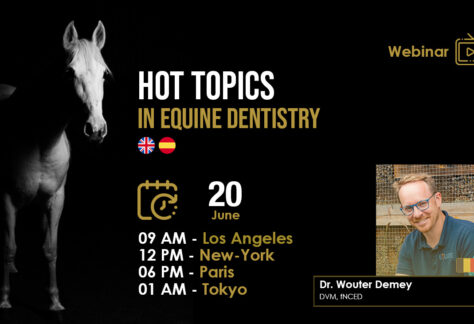 [HDE Webinar] Hot Topcs in Equine Dentistry - Dr. Wouter Demey