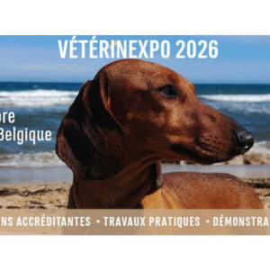 Veterinexpo 2026