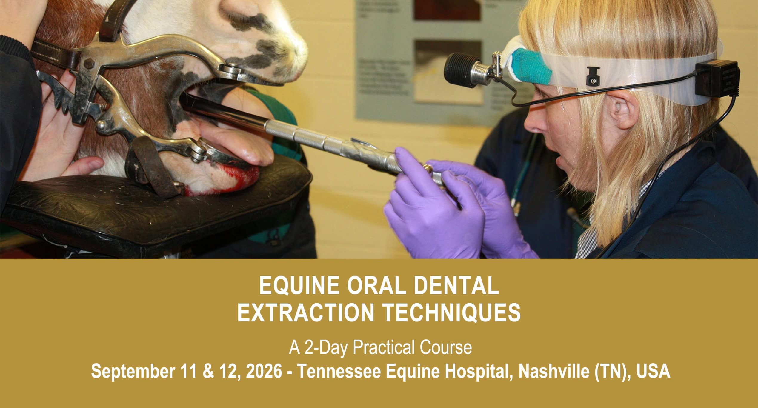 VetPD Course - Equine Oral Dental Extraction Techniques - September 11 & 12, 2026 - USA