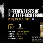 [HDE FREE Webinar] Different Uses of Platelet-Rich Fibrin in Equine Dentistry - Dr. Carla Manso
