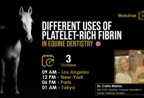 [HDE FREE Webinar] Different Uses of Platelet-Rich Fibrin in Equine Dentistry - Dr. Carla Manso