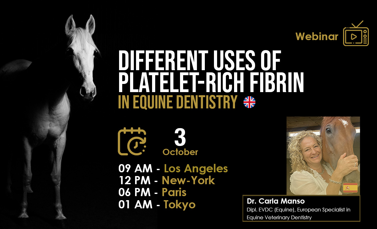 [HDE FREE Webinar] Different Uses of Platelet-Rich Fibrin in Equine Dentistry - Dr. Carla Manso