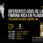 [Webinar HDE GRATUITO] Diferentes Usos de la Fibrina Rica en Plaquetas en Odontología Equina - Dra. Carla Manso