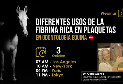 [Webinar HDE GRATUITO] Diferentes Usos de la Fibrina Rica en Plaquetas en Odontología Equina - Dra. Carla Manso