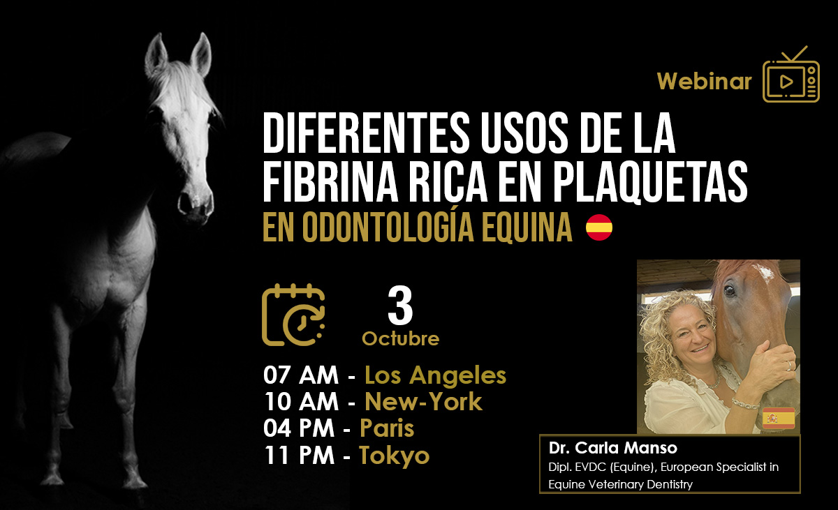 [Webinar HDE GRATUITO] Diferentes Usos de la Fibrina Rica en Plaquetas en Odontología Equina - Dra. Carla Manso