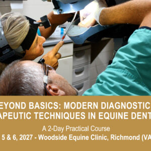 VetPD Course - Beyond Basics: Modern Diagnostic & Therapeutic Techniques in Equine Dentistry - March 5 & 6, 2027 - USA