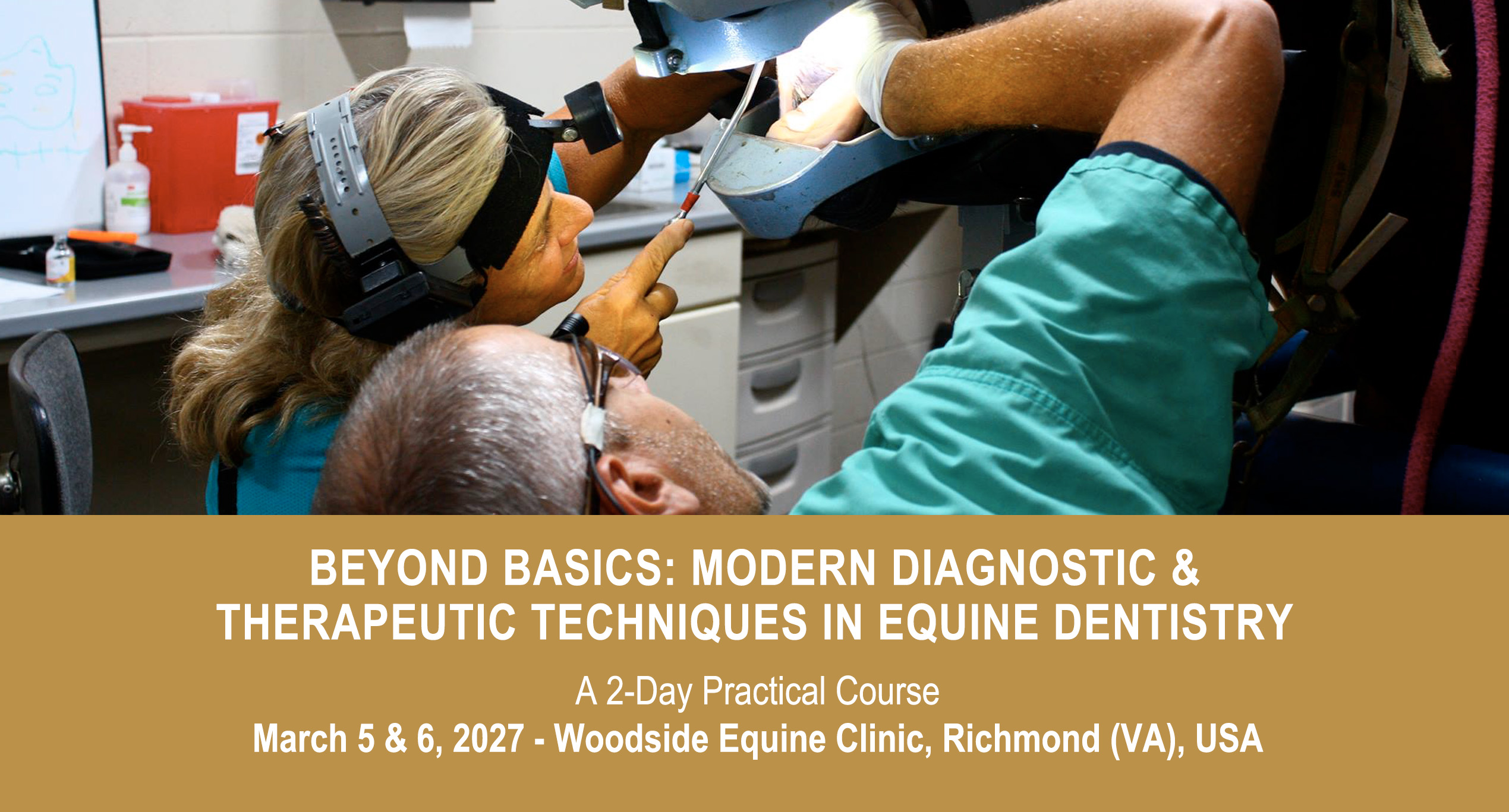 VetPD Course - Beyond Basics: Modern Diagnostic & Therapeutic Techniques in Equine Dentistry - March 5 & 6, 2027 - USA