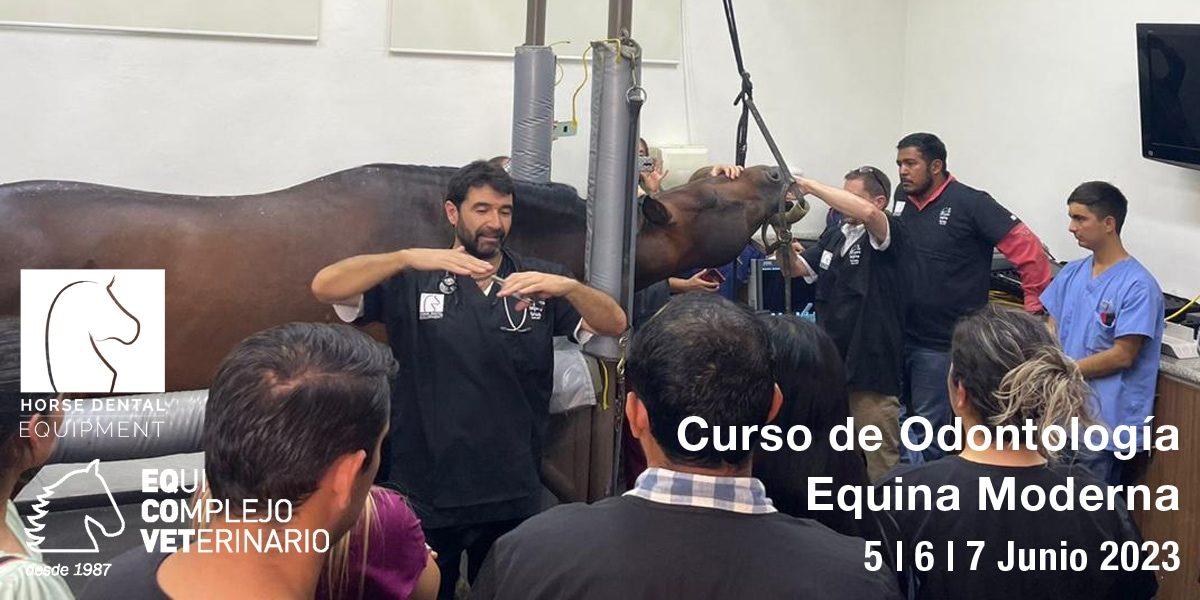 Curso de Odontología Equina Moderna, Guadalajara