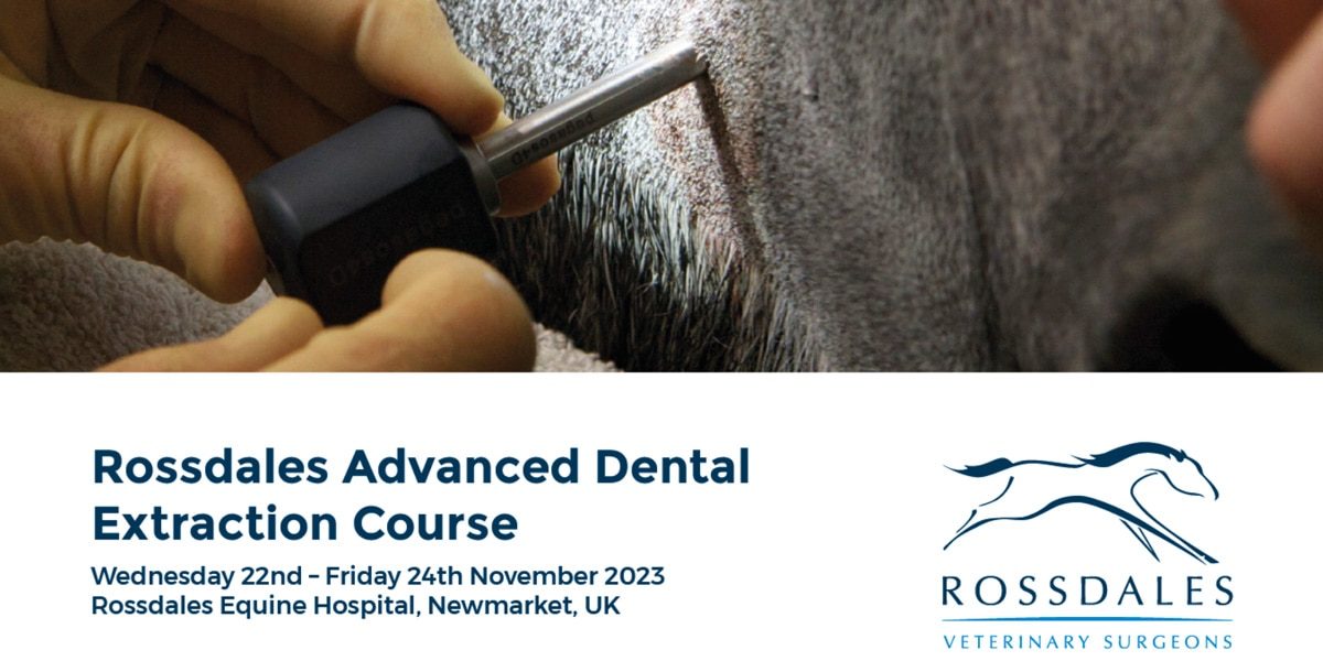 Rossdales Advanced Dental Extraction Course