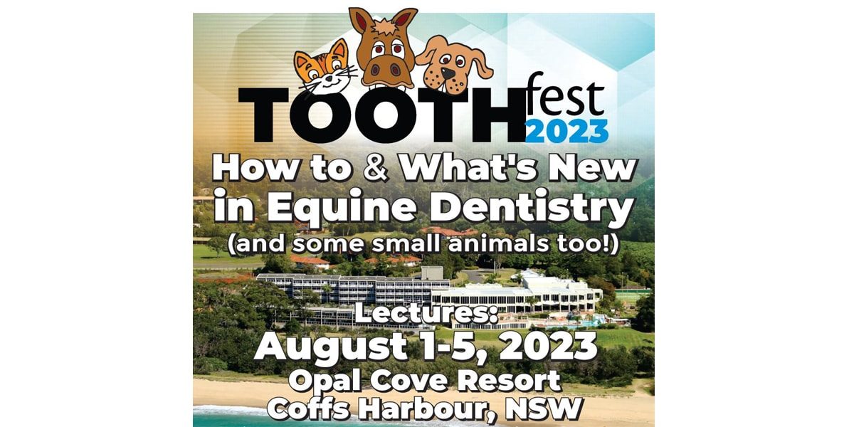 Tooth Fest 2023