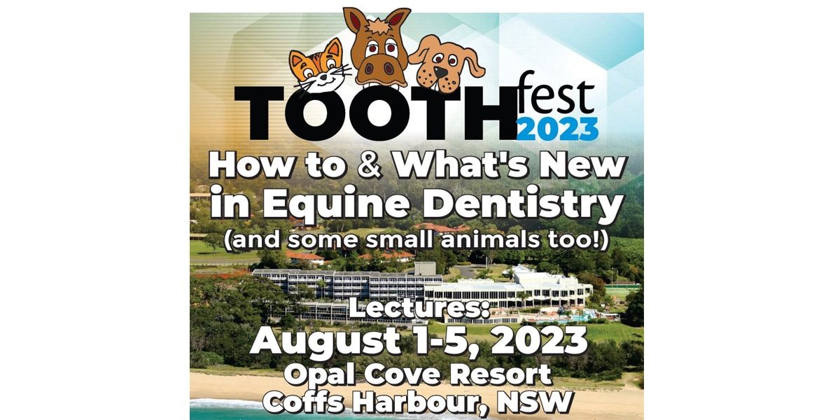 Tooth Fest 2023 Tooth Fest 2023