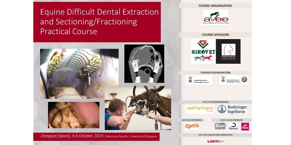 Equine Difficult Dental Extraction and Sectioning/Fractioning Practical Course - Zaragoza, Spain