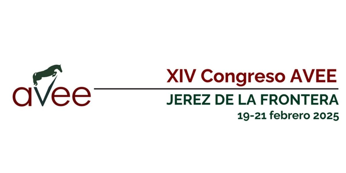 XIV Congreso AVEE XIV Congreso AVEE