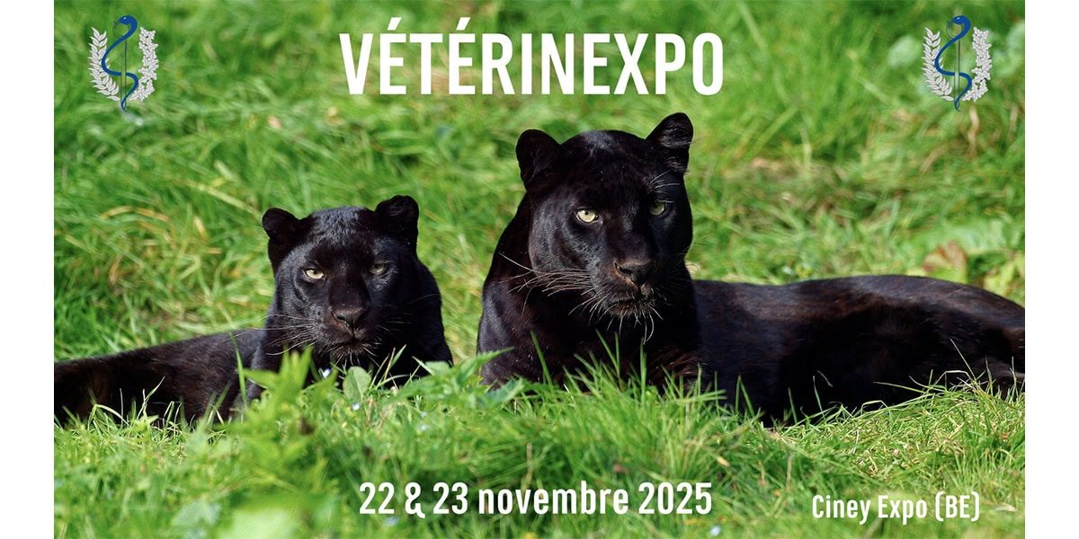 Veterinexpo 2025 Veterinexpo 2025